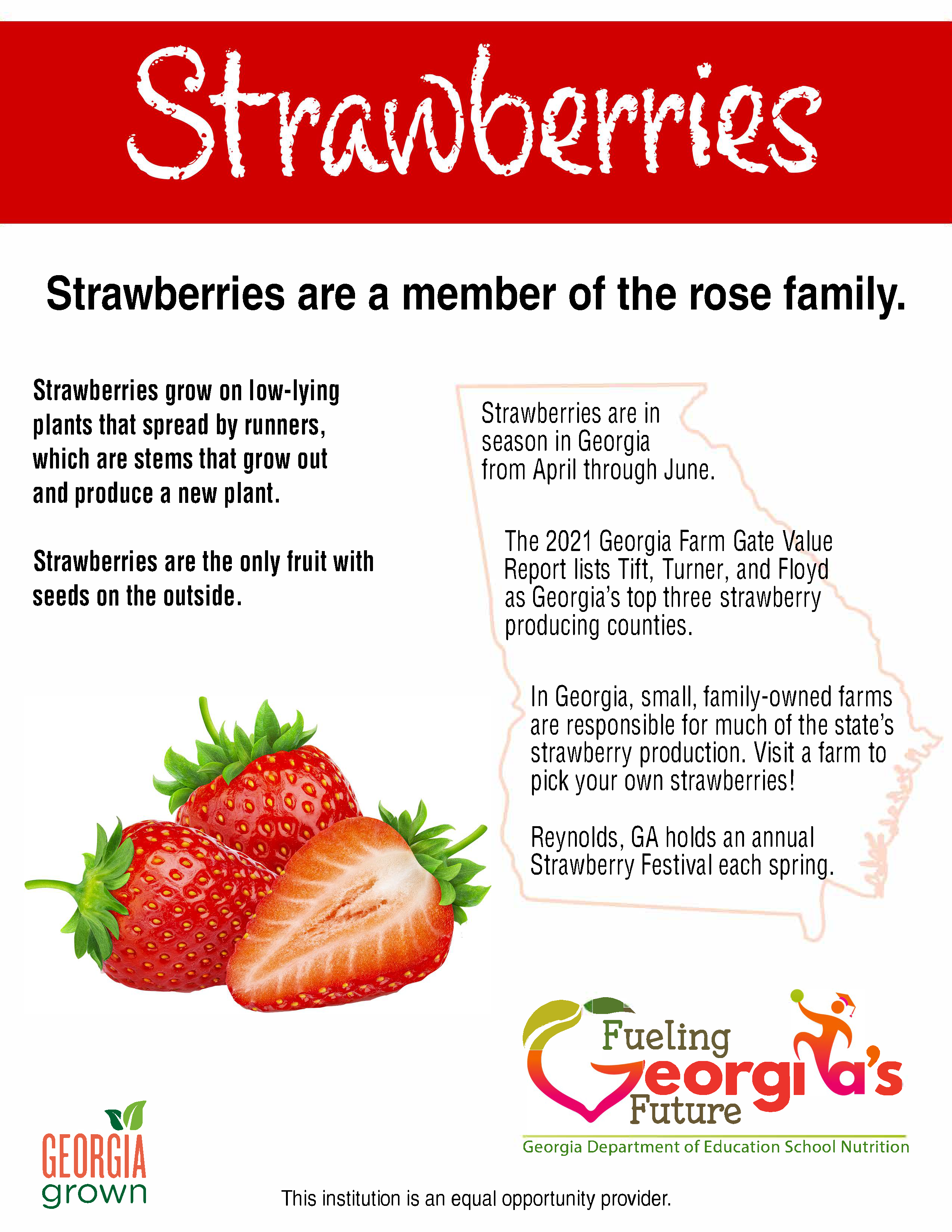 Strawberries Fact Sheet